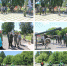 velosiped_copy - Администрация Шатровского района