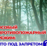 Особый противопожарный режим начинает действовать в Курганской области уже с 11 апреля. - Шатровский муниципальный округ