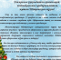 Об участии в праздничном оформлении с использованием новогодних украшений, декораций, современных световых элементов. - Шатровский муниципальный округ