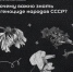 Карточки «Почему важно знать о геноциде народов СССР». - Шатровский муниципальный округ